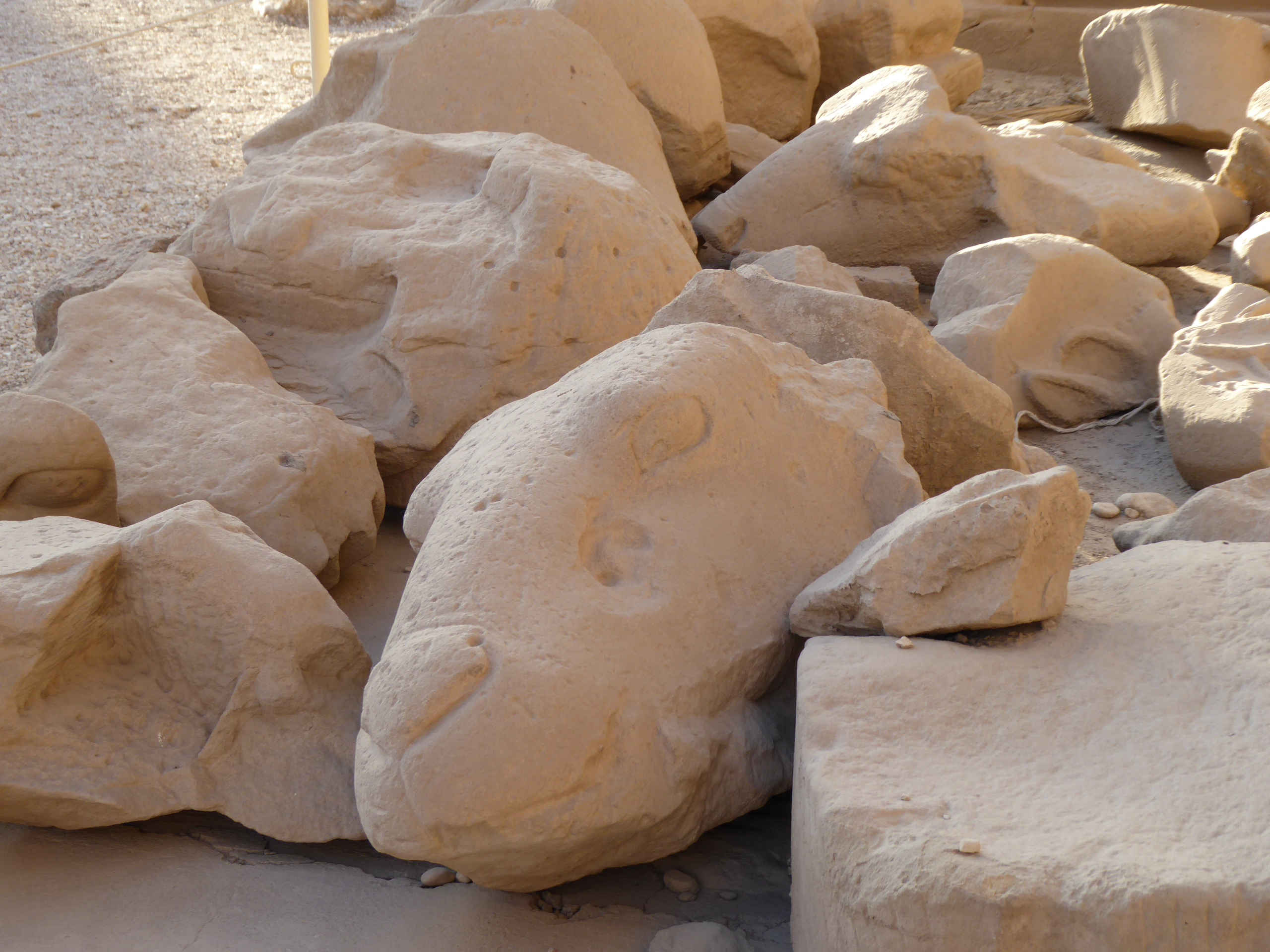 Ram Sphinx Fragments, Karnak One of the grandest and most rewarding monuments of the ancient world, the Temple of Amun at Karnak simply cannot fail to impress with its grandeur. It is a vast complex of buildings over three main precincts, the greatest of which is that of Amun with the enormous great temple at its heart. This is the main draw for all visitors to Karnak, with its avenue of sphinxes, huge courtyards and incomparable pillared hypostyle hall. It is not only one of Egypt's most important monuments but simply one of the greatest ancient sites anywhere. The great temple of Amun dominates the complex and is the work of successive dynasties throughout the New Kingdom, at which point the local god Amun had been established as the state god of Egypt (his name means 'the hidden one', as he only rose to prominence relatively late in Egyptian history, largely connected to the rising importance of Thebes as the centre of power, thus its local god rose with it). Some of the earliest parts at the east end date to the reign of Thutmoses I with successive sections added by other 18th & 19th Dynasty rulers, with great obelisks erected by Hatshepsut and much of the Hypostyle Hall and pylons built under Seti I and his son Ramesses II. The first courtyard and the main pylon were the latest additions to the temple under the reign of Nectanebo I and were never fully finished. The temple is approached through and avenue of large ram-headed sphinxes, each protecting a small pharoah figure between their paws, representing the god Amun (whose sacred animal was the ram) protecting the king. These statues are usually identified as dating to the reign of Ramesses II, but it is possible they may date further back to Amenophis III. Originally this avenue stretched all the way through what is now the first courtyard to the 2nd pylon and hypostyle hall, but after construction of the 1st pylon and courtyard those beyond the new facade were stored in rows either side of the new courtyard beyond the entrance pylon. The main facade is formed by the towering 1st pylon built under Nectanebo I and never finished, the stonework is still rough-hewn and lacking in decoration and the northern tower remains somewhat shorter than its southern neighbour. The southerrn tower has at its rear the remains of a mud-brick ramp used during construction. The courtyard beyond is vast and dotted with pillars and statues from various earlier stages in the growth of Karnak, including a towering column from a pavilion built by Nubian Pharoah Taharqa, two colossi of Ramesses II (one usurped later by Pinedjem) and more of the ram-sphinxes that once lined the approach. Beyond the courtyard is the more ruinous 2nd pylon which leads to the most famous part of the Karnak Temple complex, the incredible Hypostyle Hall, sometimes called the 'Hall of a Hundred Columns' owing to the great multitude of thick, round columns in every direction, like a forest of enormous tree-trunks in stone. There are 134 columns in all in 16 rows, the central axis columns being taller with palm-capitals, whilst the rows either side of this carried a clerestorey of stone-latticed windows, many of which survive (originally these would have been the main light source when the hall had its roof). The decoration on the columns and side walls dates mostly to the reign of Ramesses II and is in sunken relief, but some earlier work from Seti I's reign in raised-relief can be seen on the north side. Continuing along the main eastern axis the great temple becomes more ruinous and harder to follow, but several major features stand out such as the obelisk of Hatshepsut and the much later barque shrine, whilst some distance beyond the festival hall of Thutmosis III, a pillared structure that represents the most substantial remaining part of the eastern sections of the temple and retains some coloured decoration inside. In addition to the main eastern axis of the temple there is the southern axis that is formed of four courtyards and further pylon towers and gates which extend towards the precinct of Amun's consort Mut (a much more ruined site reached by equally ruined sphinx avenues to the south, one of which also connects with that leading to Luxor Temple a mile or so further on).. These sections of the complex are mostly closed to visitors at present with stabilisation works ongoing. There are further smaller temples and areas of great interest around the huge Karnak site, which we have visited on a previous trip (we once spent an entire day here in the pre-digital 1990s), but sadly time was limited on this occasion to focusing on the major sections of the great temple itself, so we hope to return to spend longer here another time. en.wikipedia.org/wiki/Karnak