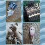 MyCollages 1 процессы