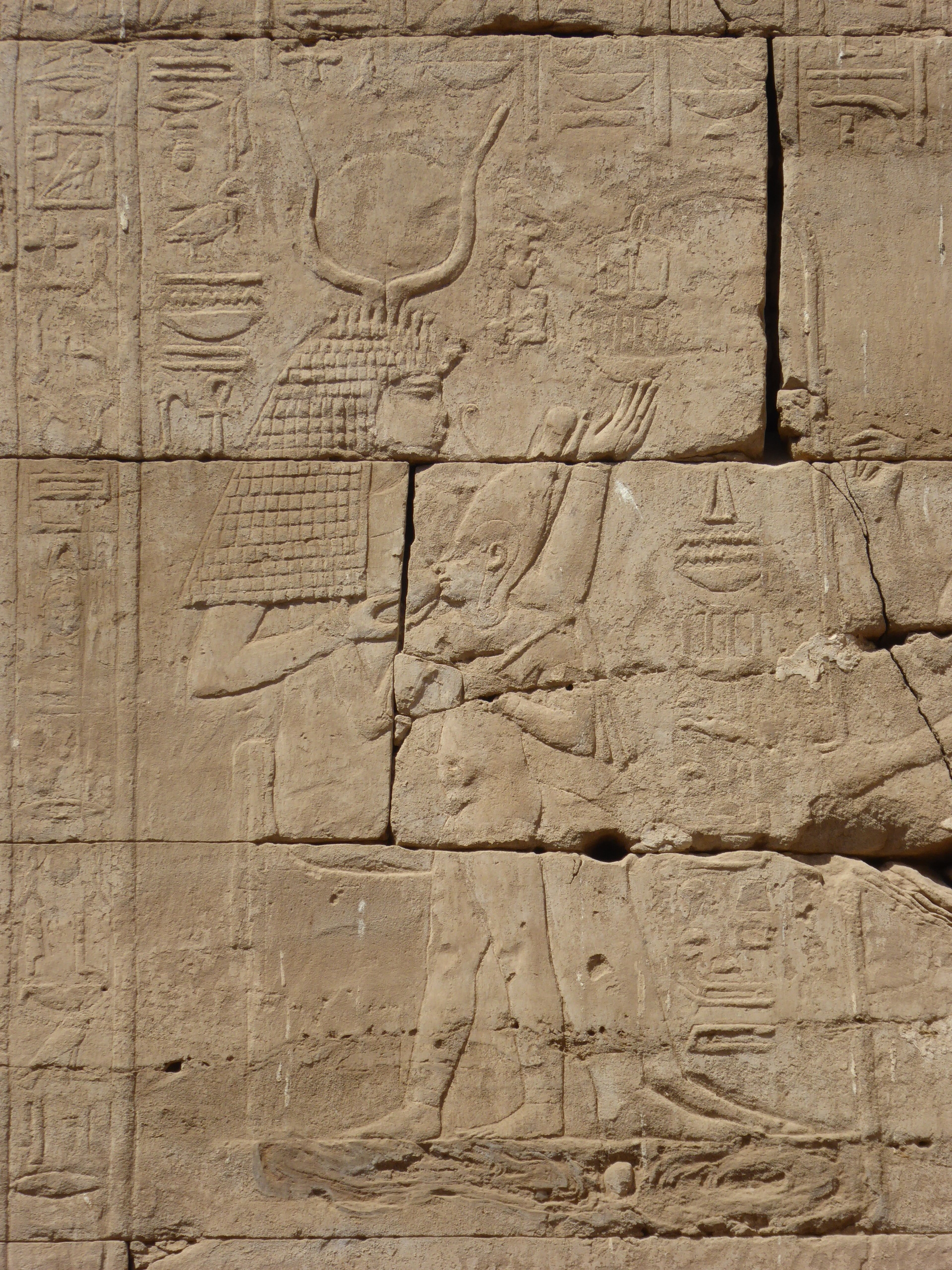 Hathor suckles Ihy, Dendera Detail of the mammisi of Nectanebo II at Dendera. The Temple of Hathor at Dendera is one of Egypt's best preserved and most beautiful ancient shrines. This magnificent edifice dates to the Ptolemaic period, late in Egyptian history, though the site long had been the cult centre for the goddess Hathor for centuries before (the earliest extant remains date to c360BC but a temple is recorded here as far back as c2250BC). Most of the main building dates to the reigns of the last Cleopatras and further decoration and building work within the complex continued in the Roman period up to the reign of Trajan. The dominant structure in the complex is the Temple of Hathor, an enormous structure with a rectangular facade punctuated by the Hathor-headed columns of the hypostyle hall within. This hall is an architectural wonder, a masterpiece of ancient Egyptian design and decoration, which covers every surface and has been recently cleaned, revealing a superb astrological ceiling in all its original vibrant colours. Sadly there was much iconoclasm here during the early Christian period and most of the reliefs of the walls and pillars have been defaced. Worse still is the damage to the 24 Hathor-head capitals: not one of the nearly a hundred huge faces of the goddess that once smiled down on this hall has been left unblemished, most with their features cruelly chiselled away. The main temple building is otherwise structurally intact, and extends into further halls and chapels beyond, again with much relief decoration (much of which is again defaced). In one corner is an entrance to a crypt below, an unusual feature in Egyptian temple architecture consisting of several narrow passages adorned with carved relief decoration in good condition. There are further sanctuaries and chapels above on the roof of the temple, accessed by a decorated staircase and including the room where the famous Dendera Zodiac was formerly located (today its place in the ceiling taken by a cast of the original, now displayed in Paris). The highest part of the roof complex is no longer accessible to tourists, but I can still recall making the ascent there on our first visit in 1992. Several other buildings surround the main temple, the most impressive of which is the mammisi or 'birth-house'. This consists of a large rectangluar hall surrounded by a colonnade near the entrance to the site and has some well preserved relief decoration on its exterior. Most of this structure dates to the Roman period, but the ruins of its predecessor built under Nectanebo II (Egypt's last native pharoah) stand nearby. Dendera temple is one of the most rewarding in Egypt and shouldn't be missed. It is one of the most complete and evocative ancient monuments in the country and its recent restoration has revealed a surprisingly extensive amount of colour surviving within (we were amazed by the dramatic contrast with the soot-blackened ceiling we'd beheld on our previous visit in the 1990s). Despite its relative youth (in Egyptian terms at least!) it is easily one of my favourite sites in Egypt. en.wikipedia.org/wiki/Dendera_Temple_complex