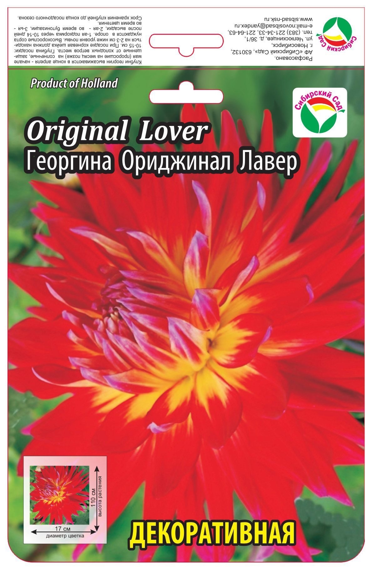 georgina oridzhinal laver