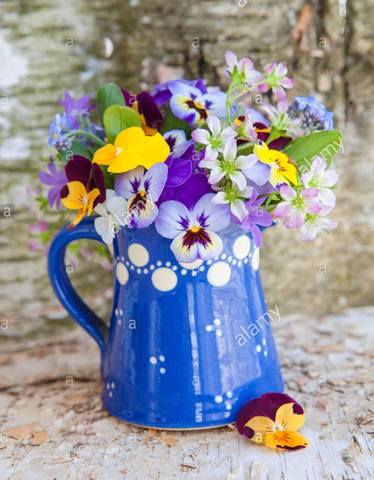 bunter-strauss-fruehlingsblumen-in-kleiner-blauer-kanne-X1N0JG (2)