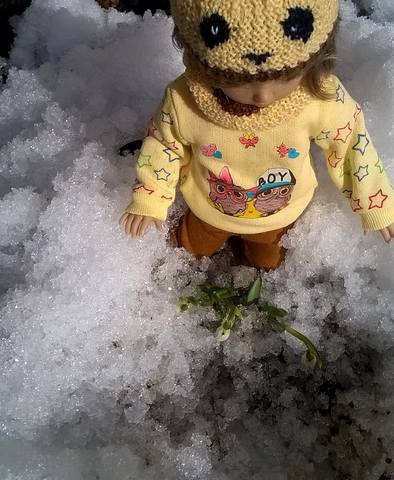 VFL.RU - ваш фотохостинг