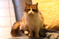 Lissy-Mascha (6)