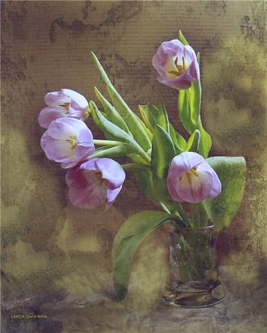 VFL.RU - ��� �����������