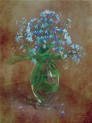 VFL.RU - ��� �����������