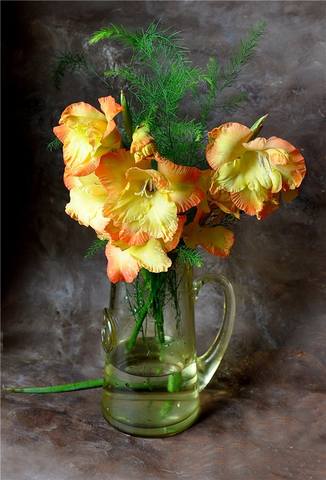 VFL.RU - ��� �����������