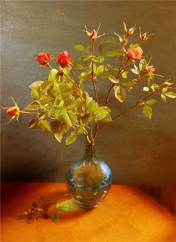 VFL.RU - ��� �����������