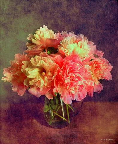 VFL.RU - ��� �����������