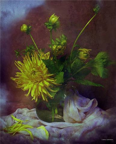 VFL.RU - ��� �����������