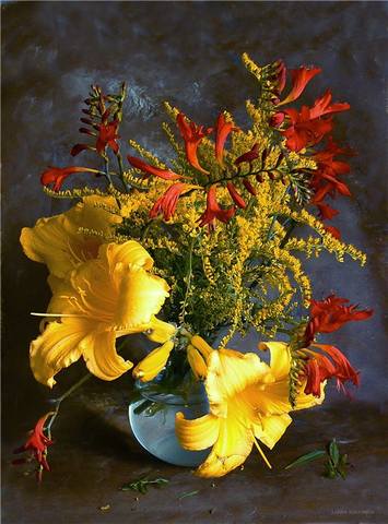 VFL.RU - ��� �����������