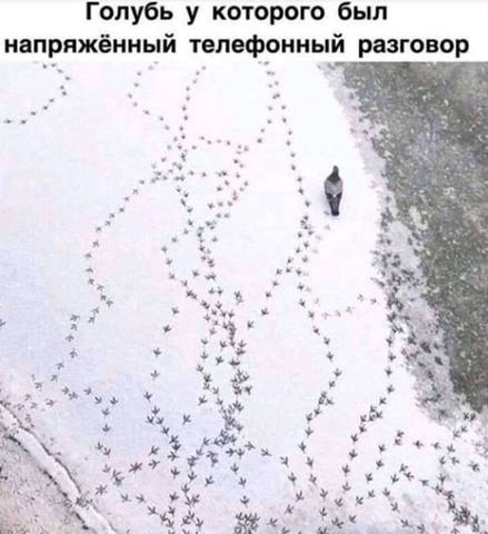 вова3