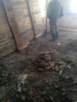 VFL.RU - ваш фотохостинг