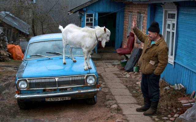 VFL.RU - ваш фотохостинг