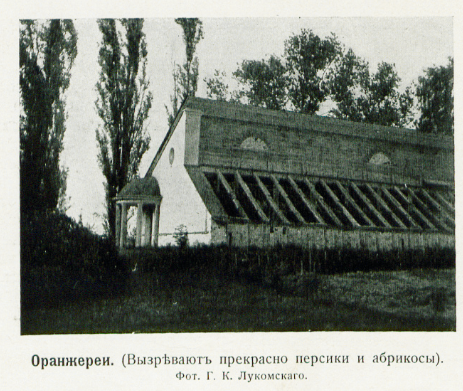 29852683_m.png