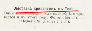 29852748_m.png