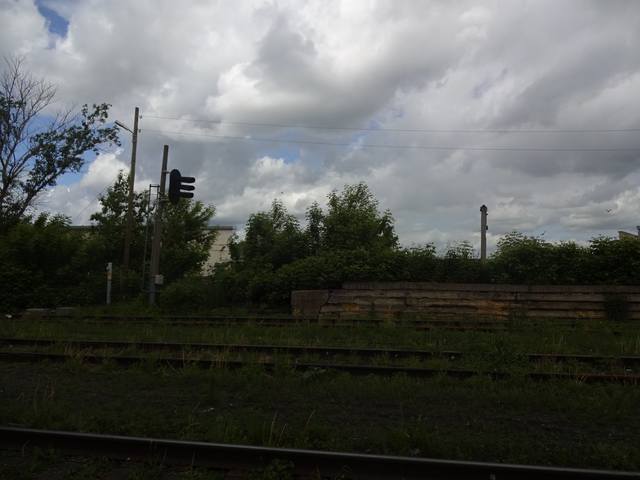 л1