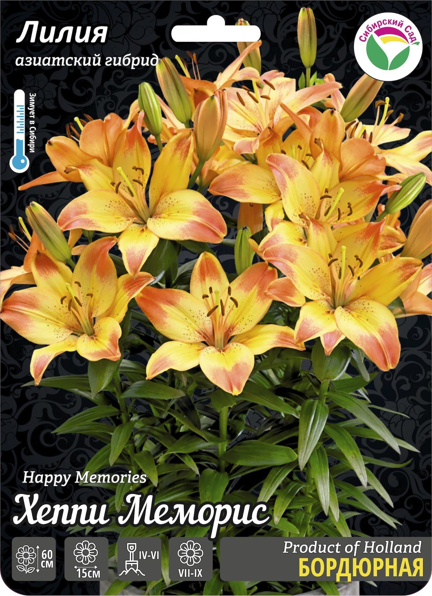 heppi memoris