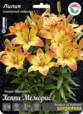 heppi memoris