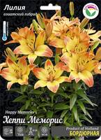 heppi memoris
