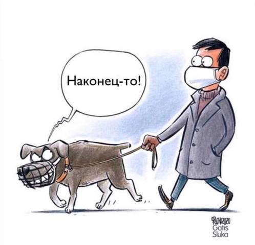 http://images.vfl.ru/ii/1584301859/f1c84716/29887166_m.jpg