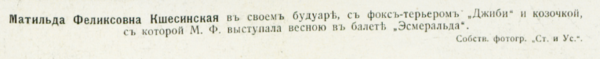 29912974_m.png