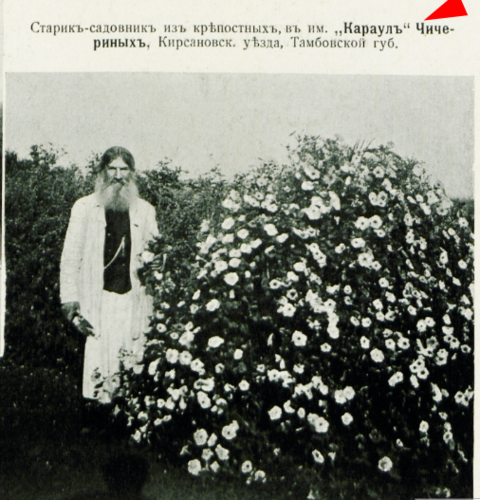 29913214_m.png