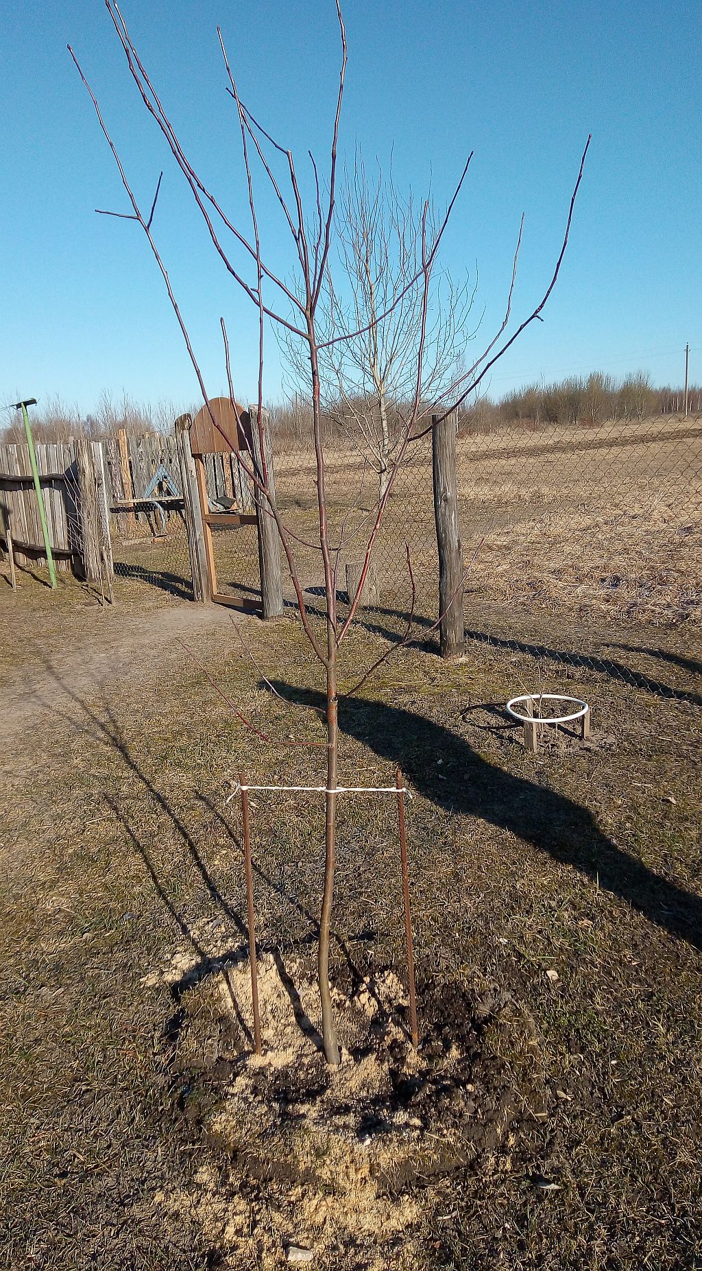 прив сек2 2015