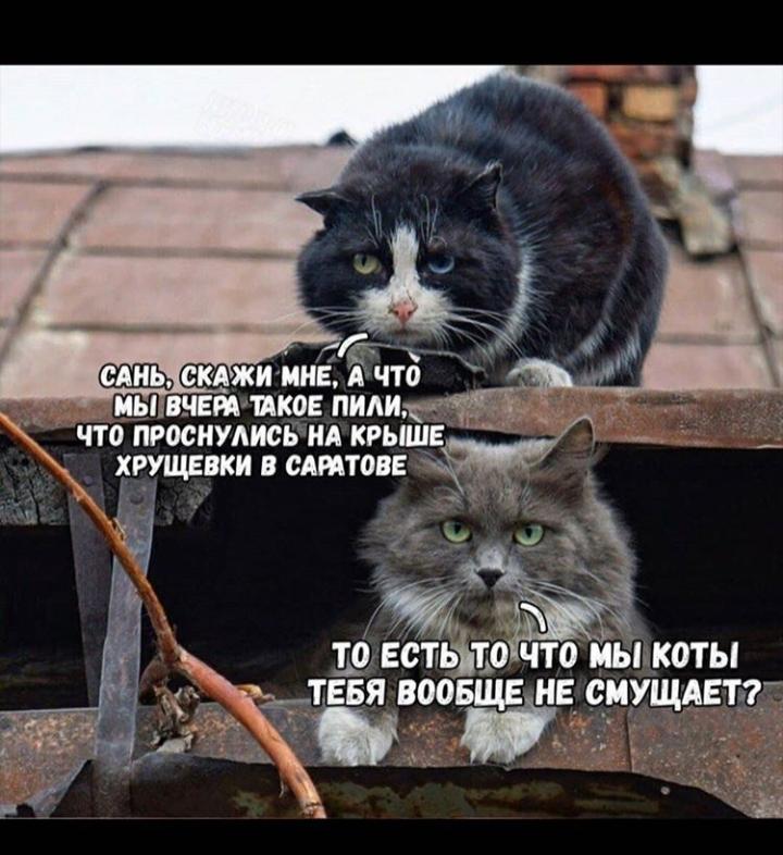 yBO89iLkjeA
