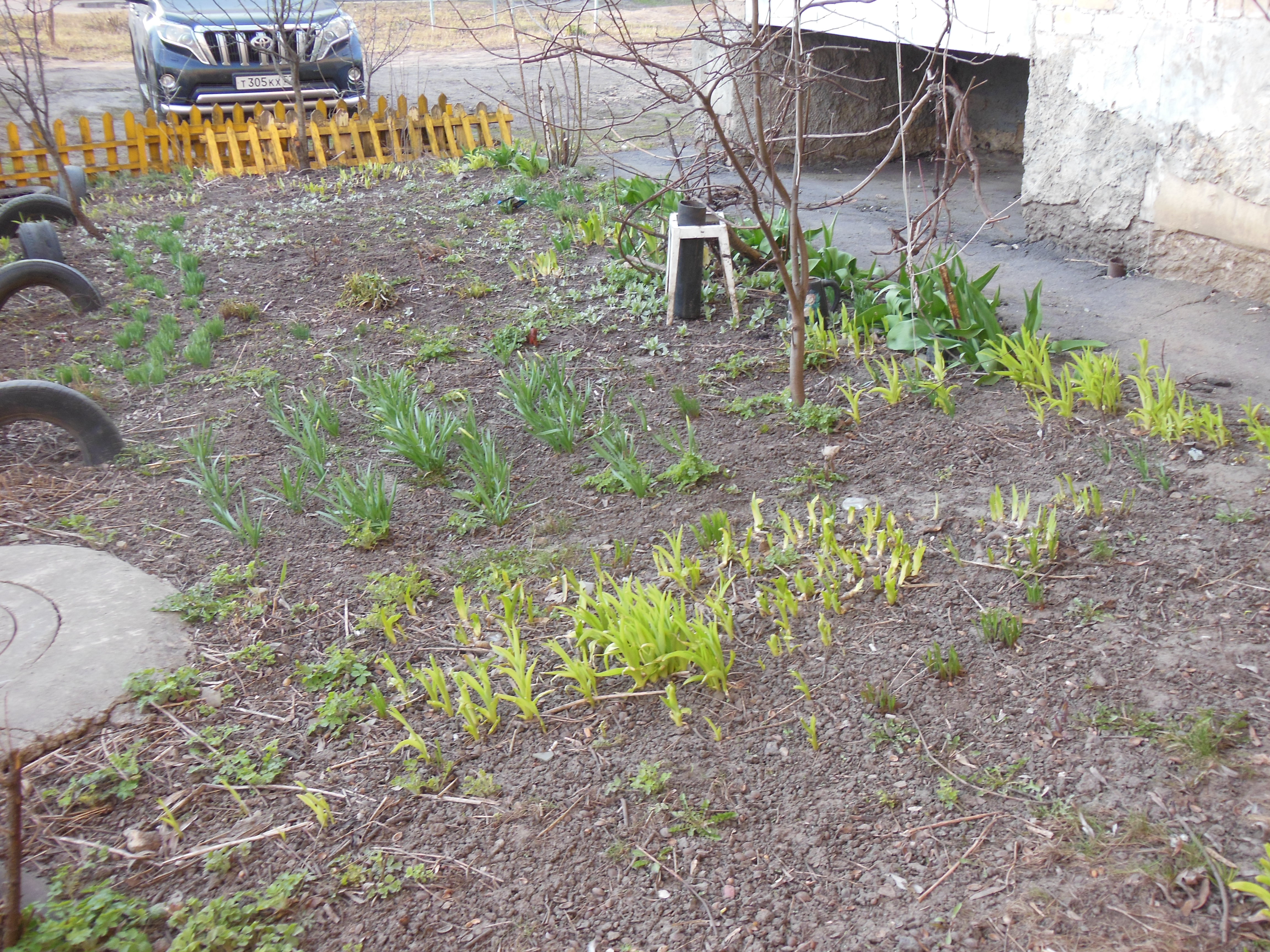 Весна 28.03 2020 003