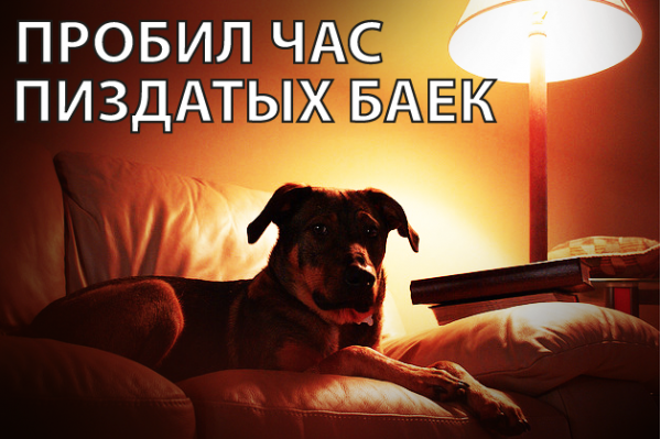 VFL.RU - ваш фотохостинг