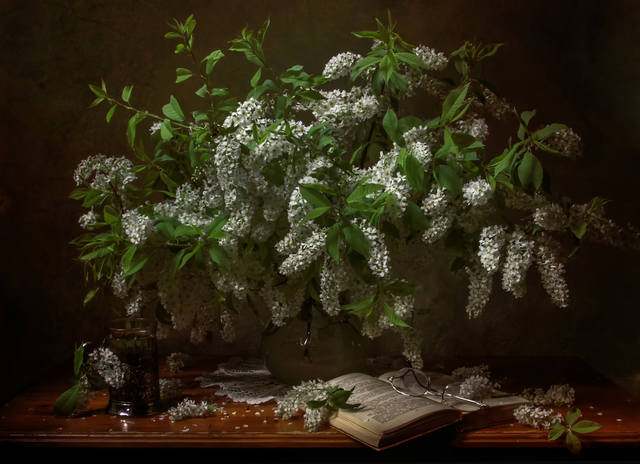 VFL.RU - ��� �����������