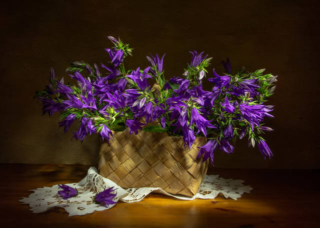 VFL.RU - ��� �����������