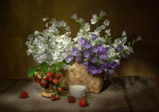 VFL.RU - ��� �����������