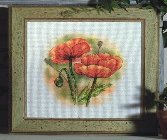product 6517