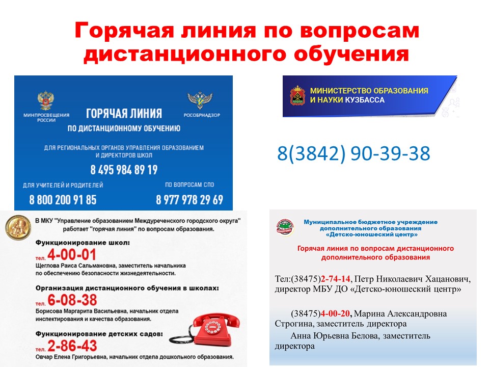Горячая линия по дистанционному обучению