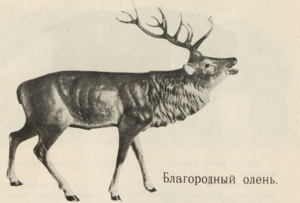 30179335_m.png