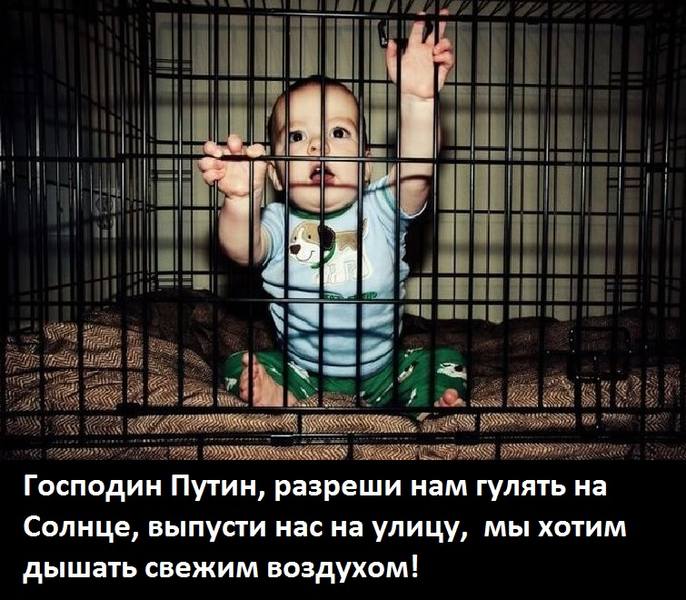http://images.vfl.ru/ii/1586854391/001c3915/30215918.jpg