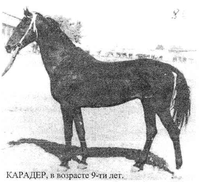 карадер вор 1977 гр