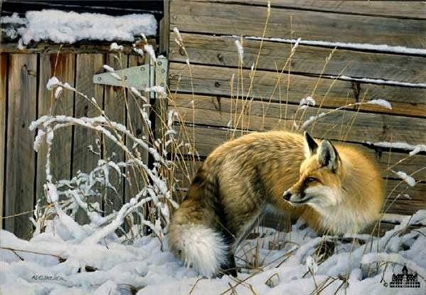 glazier-shed door fox