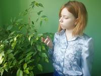 VFL.RU - ваш фотохостинг