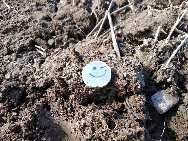Раритет 1