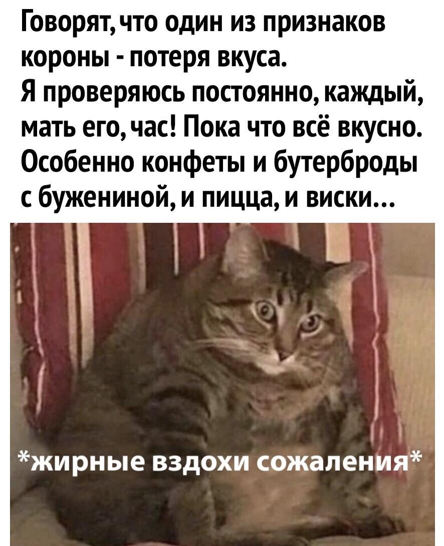 вкус