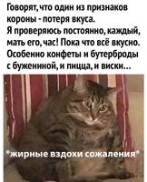 вкус