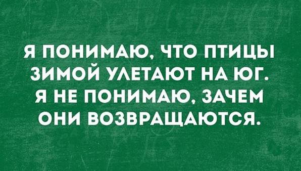 65у 65у