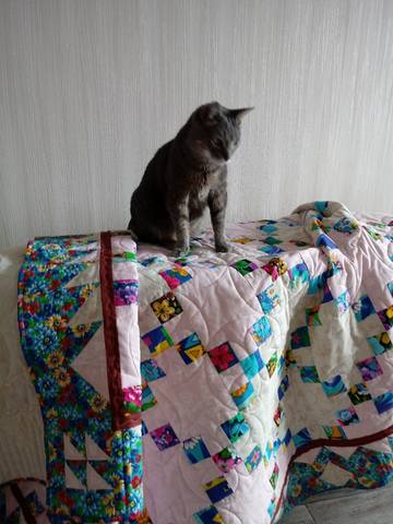 квад10