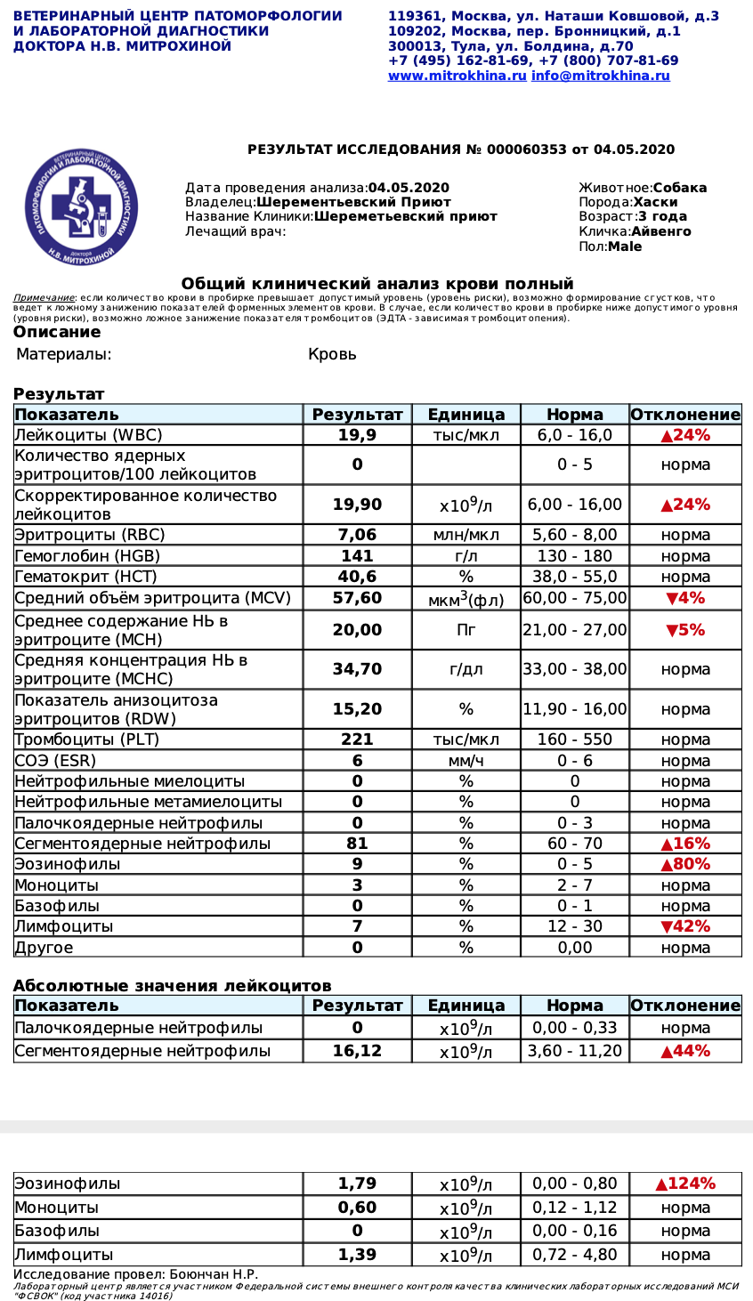 айвенго