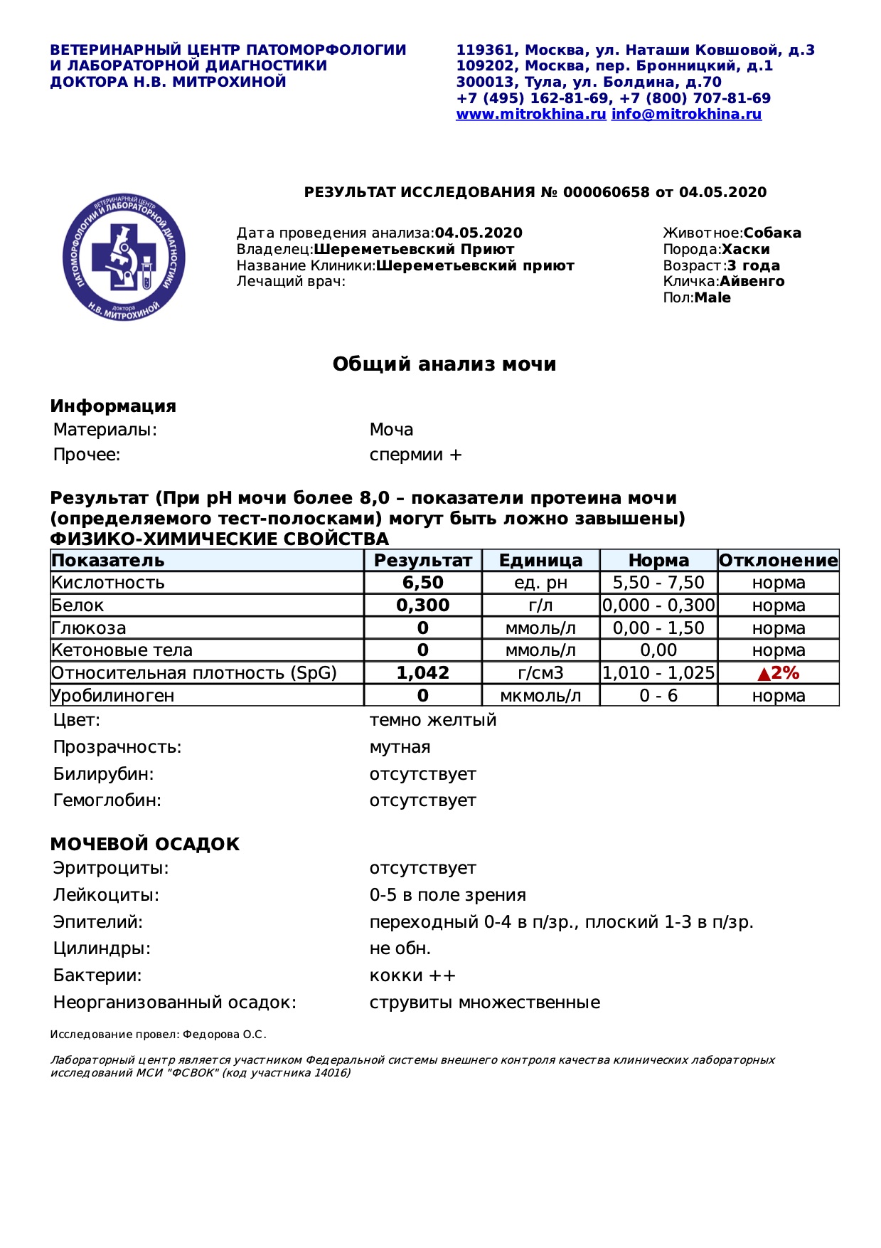 айвенго3
