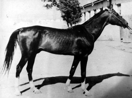1ель 1932