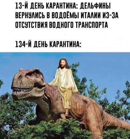 Новости Новости