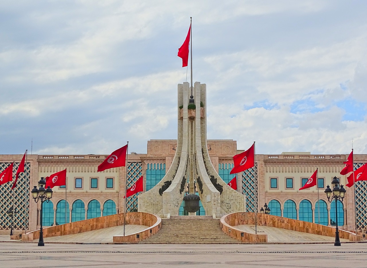 Тунис с флагом